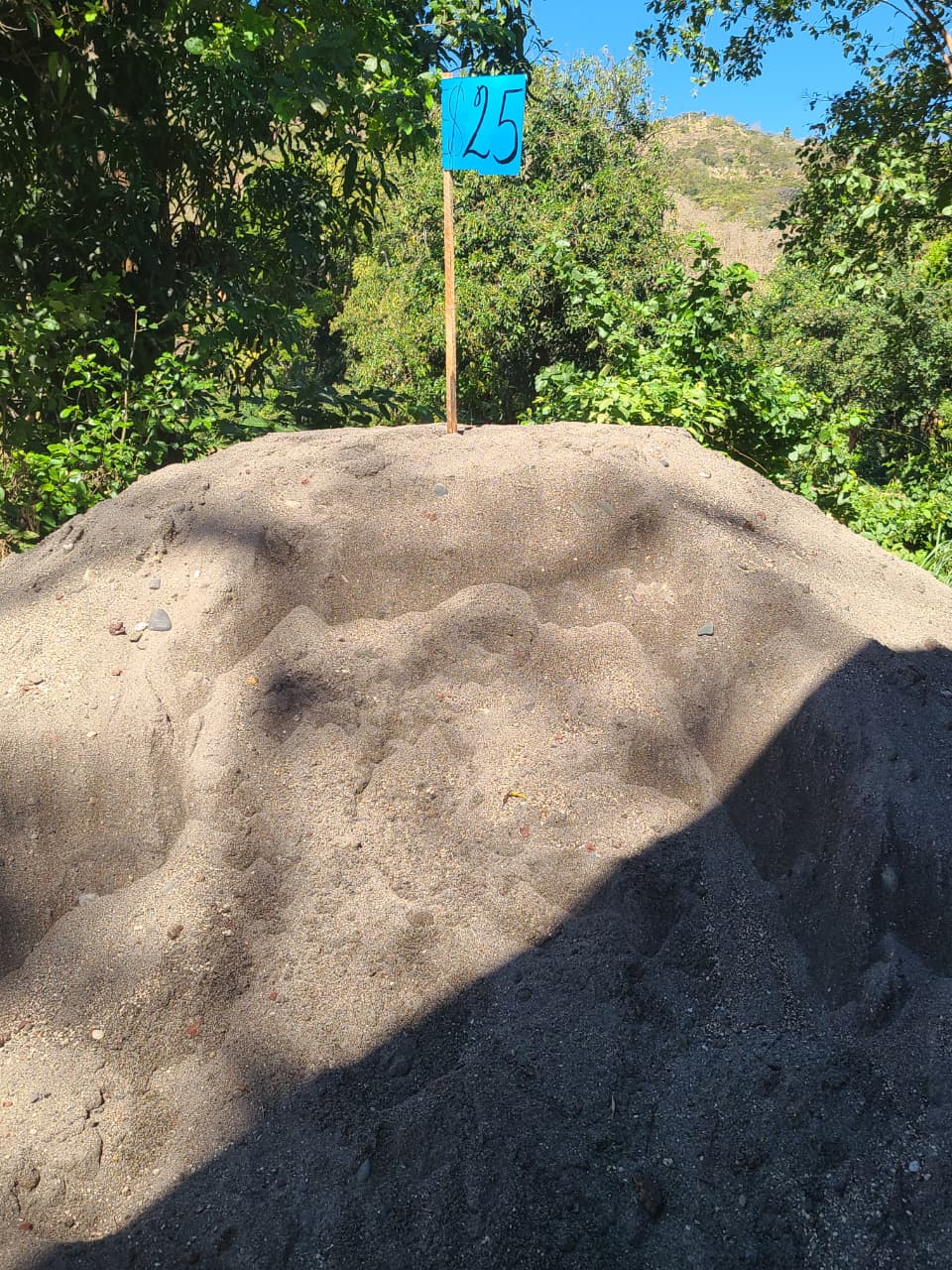Taller de carpintería